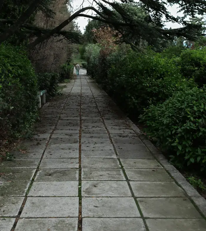 Concrete Landscaping Services